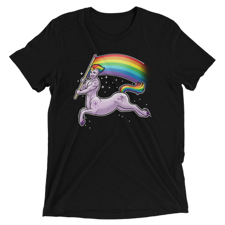 Pride Centaur (Retail Triblend)-Triblend T-Shirt-Swish Embassy