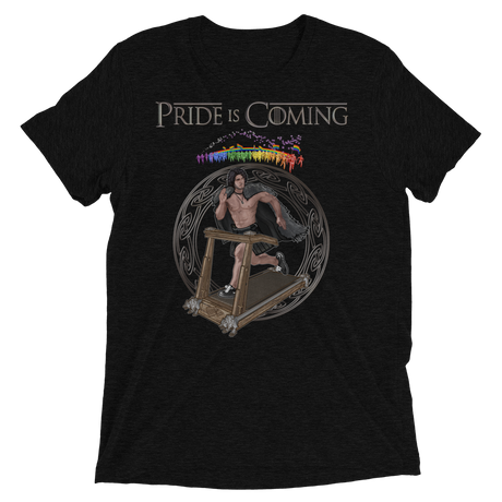 Pride is Coming (Retail Triblend)-Triblend T-Shirt-Swish Embassy