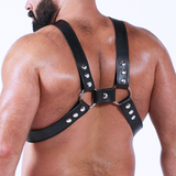 Silverlake (Harness)-Leather-Swish Embassy