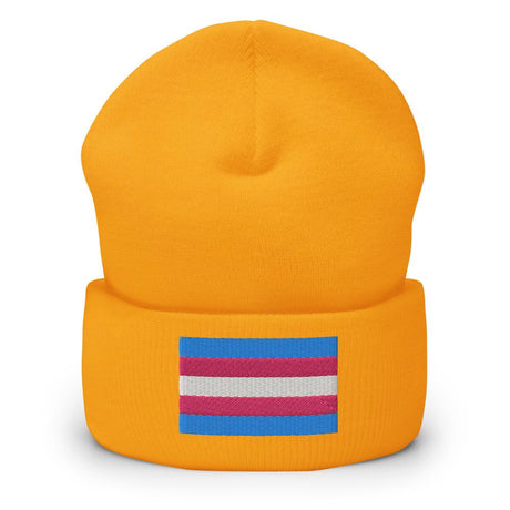 Trans Pride (Beanie)-Beanie-Swish Embassy