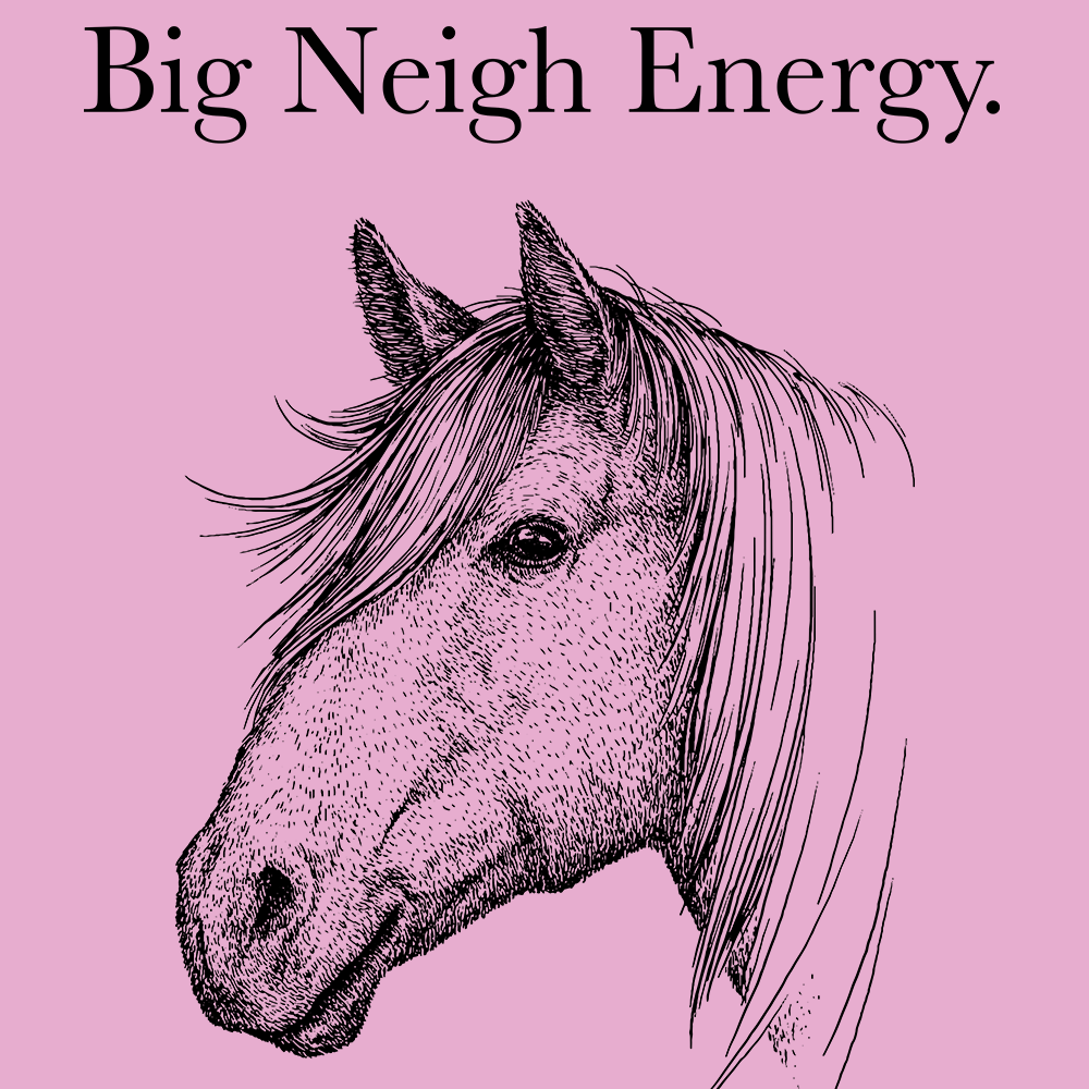 Big Neigh Energy – Swish Embassy