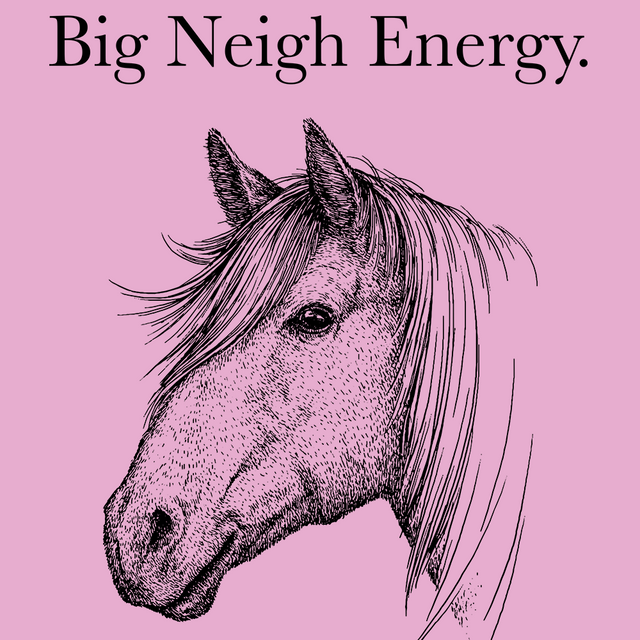 Big Neigh Energy-T-Shirts-Swish Embassy