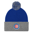 Chicago (Beanie)-Beanie-Swish Embassy