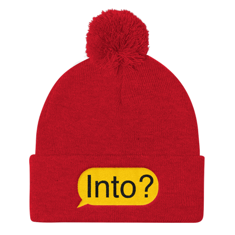 Into? (Beanie)-Beanie-Swish Embassy